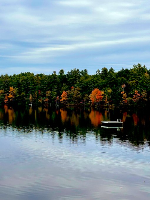 fall @ my house https://t.co/hM4inoSXGb