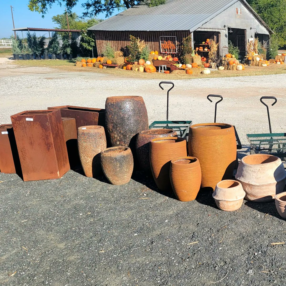 Rootedin_TX's tweet photo. #NewPots 🪴 When the idea to open a nursery first "seeded" itself, we'd always struggled to find the right pots for our personal landscapes. So we branched out to become a nursery that specializes in pretty pots! We hope y'all like them as much as we do! #RootedInPots #WeDigPots https://t.co/j7tpYy1VbR