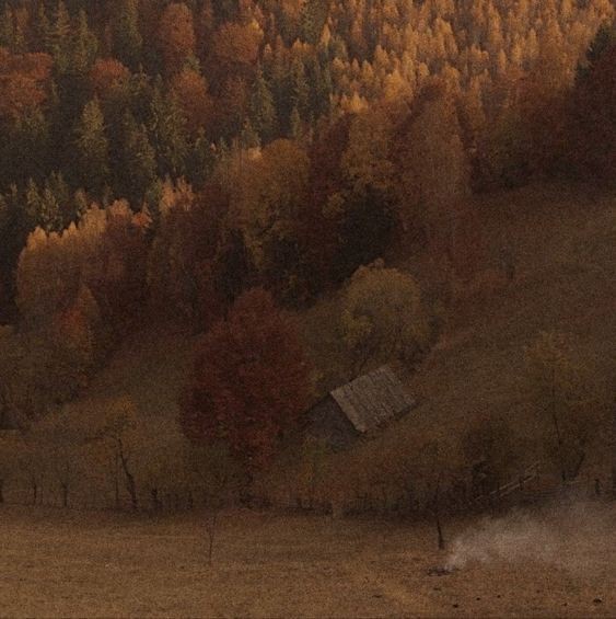 Back to sweaters weather.