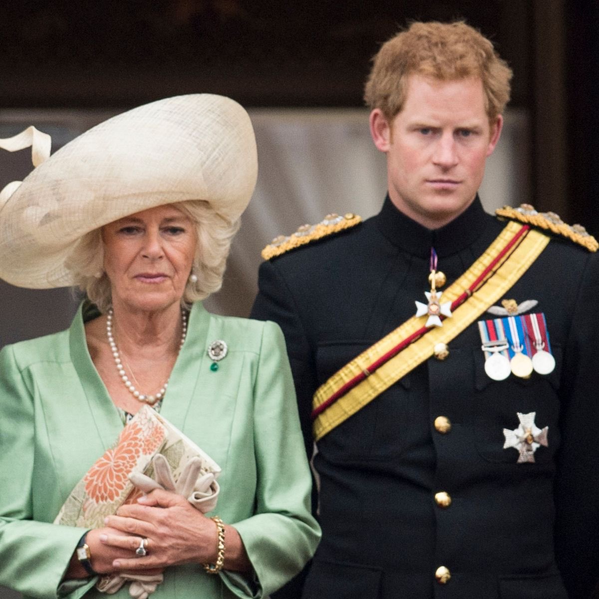 Prince Harry said ‘nasty things’ about Queen consort Camilla, according to royal biographer.