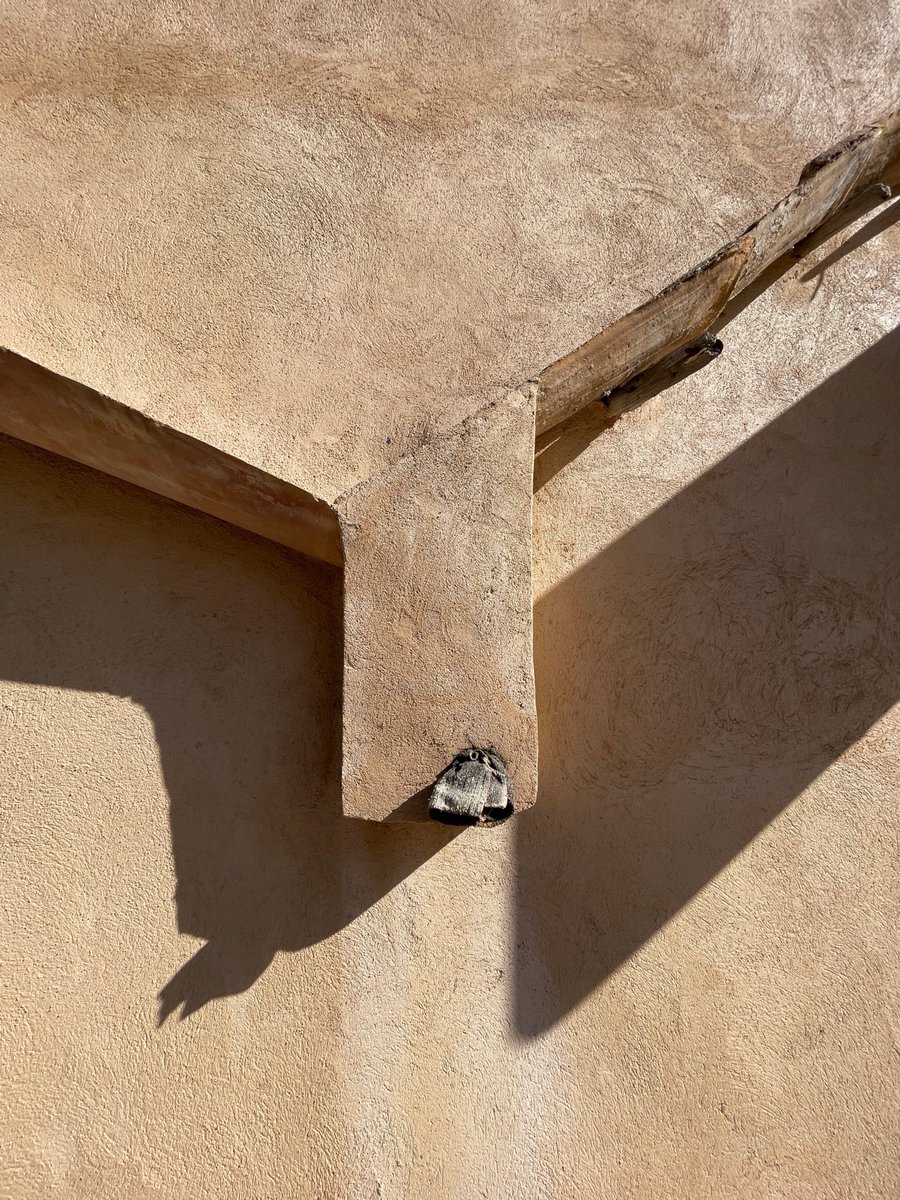 Piers Taylor tweet media