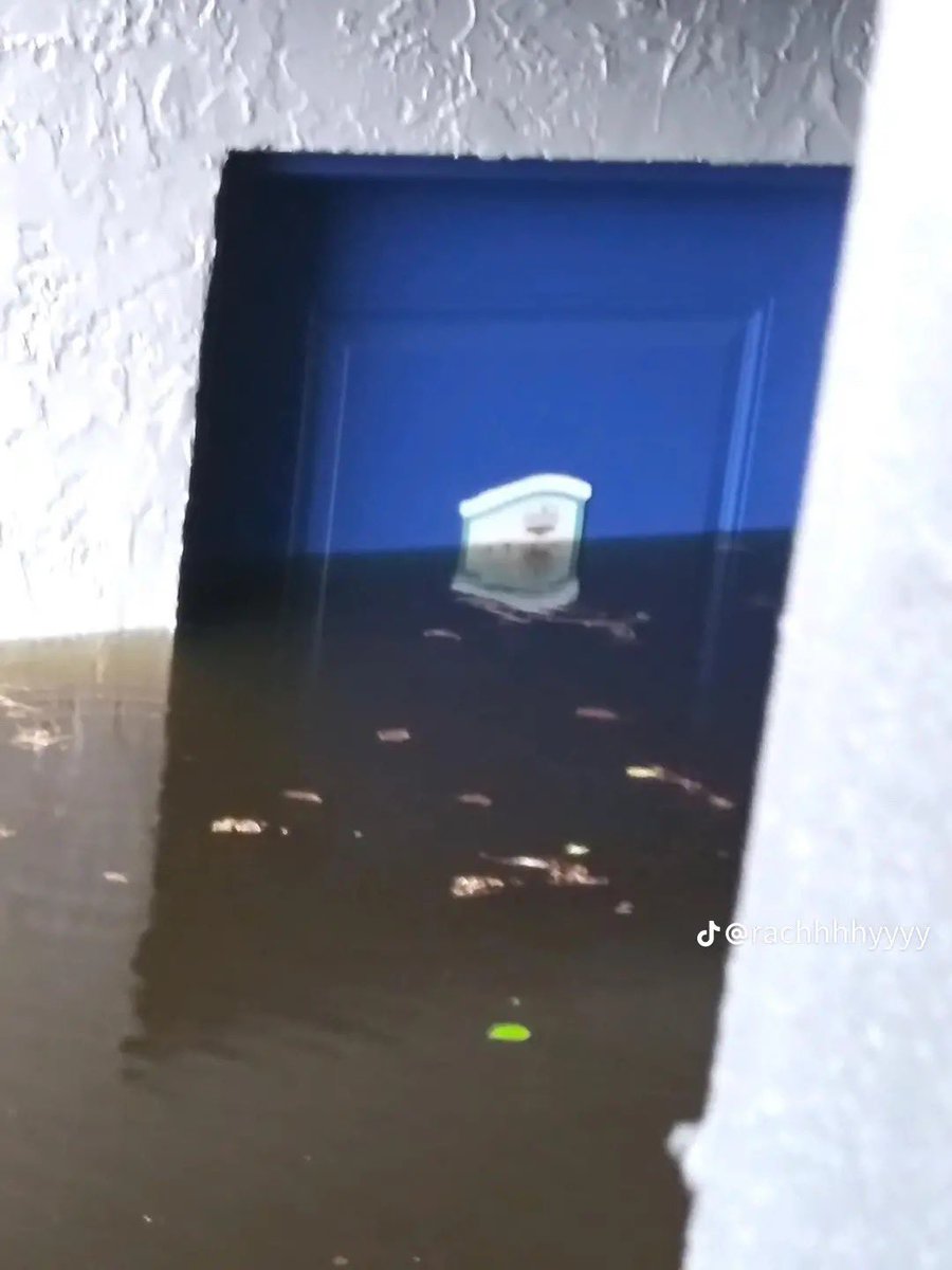 megnturner_'s tweet photo. @UCF @UCF @FLBOG what does this say about UCF? this is literally less than a mile from the main entrance of campus. https://t.co/7alQiMsTpo