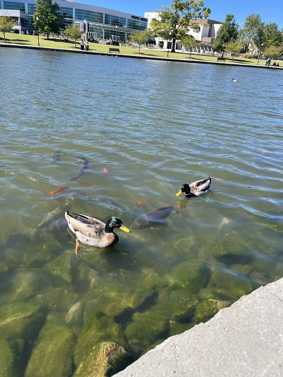hersgamers's tweet photo. Target acquired. Do these dudes bite? https://t.co/RmdkncJz5J