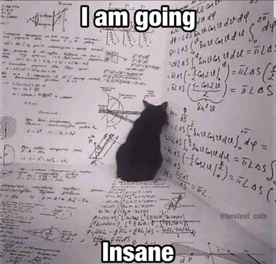 LiterallyMeCats (@literallymecats) on Twitter photo 