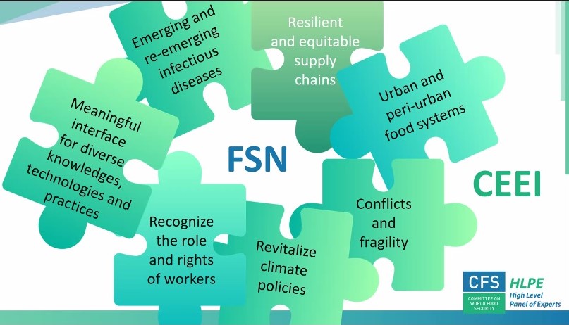 salinapbanu's tweet photo. "HLPE-FSN 3rd Note on Critical, Emerging and Enduring Issues" launch on Sept. 30. It was a great opportunity to discuss the issues outlined in the note, share my expertise, and enrich my knowledge. #HLPE-FSN is the #SciencePolicyInterface of Committee on World Food Security #CFS. https://t.co/P92KbLFIxF