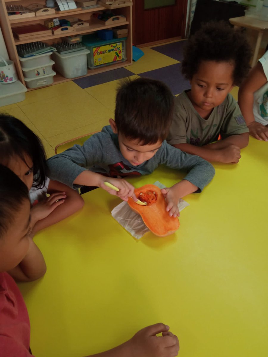 vedrunaangels's tweet photo. Primera setmana del nostre projecte SOPA DE CARBASSA
#Projectesglobalitzats #xcb #escolacompetent #EI4 https://t.co/9m45CIFZPt