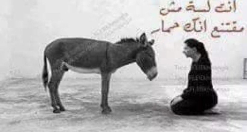 hamd00871867's tweet photo. @bin_mubarak2 @khalid_oun https://t.co/Mr92uEwPoh