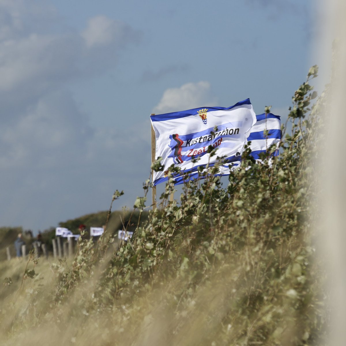 Hilbert Bredemeijer tweet media