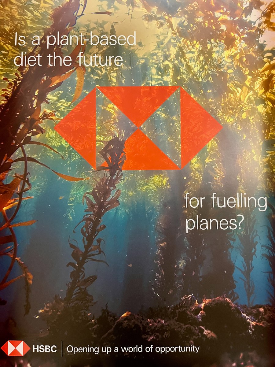 Morgan Campbell tweet media