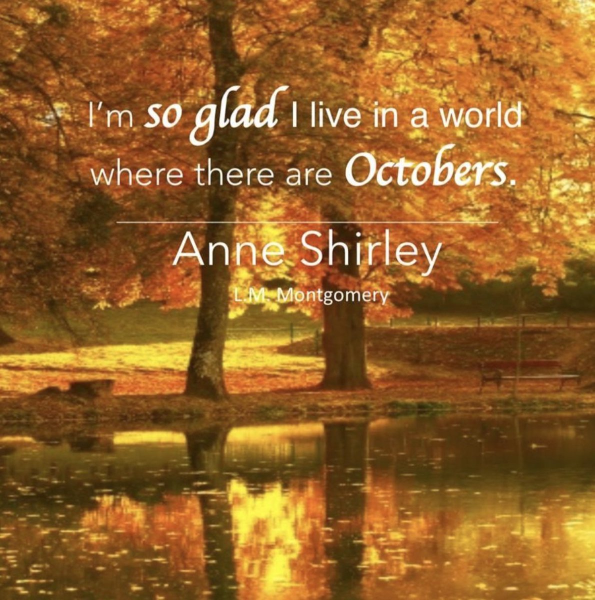 KariDunlop's tweet photo. Hello, October 1! My favourite day of the year. 💛🧡 Welcome back!! https://t.co/A18Q2dvSFz