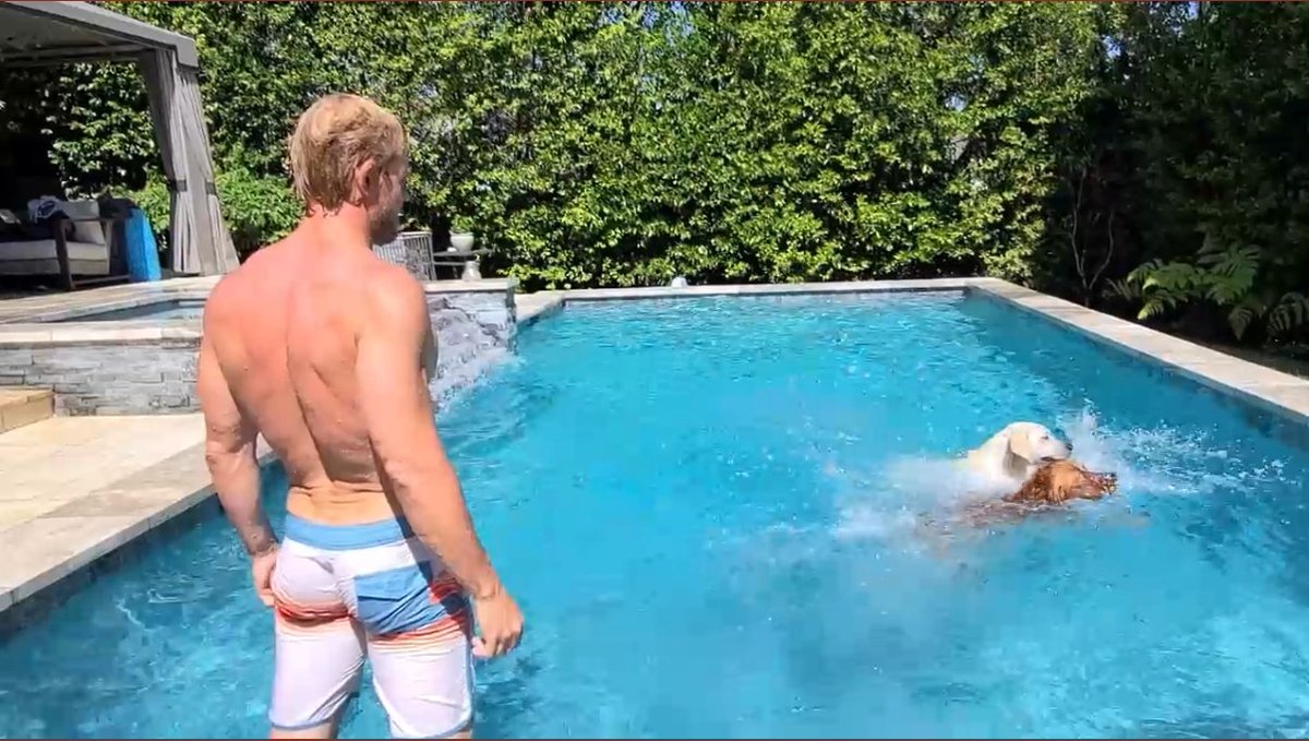 dogsgenx's tweet photo. New Trevor Donovan with Shadow and Chance video up at https://t.co/YVaBiZv7jl #tremma #ck9 #gafam https://t.co/SeMfNSJ0Vx