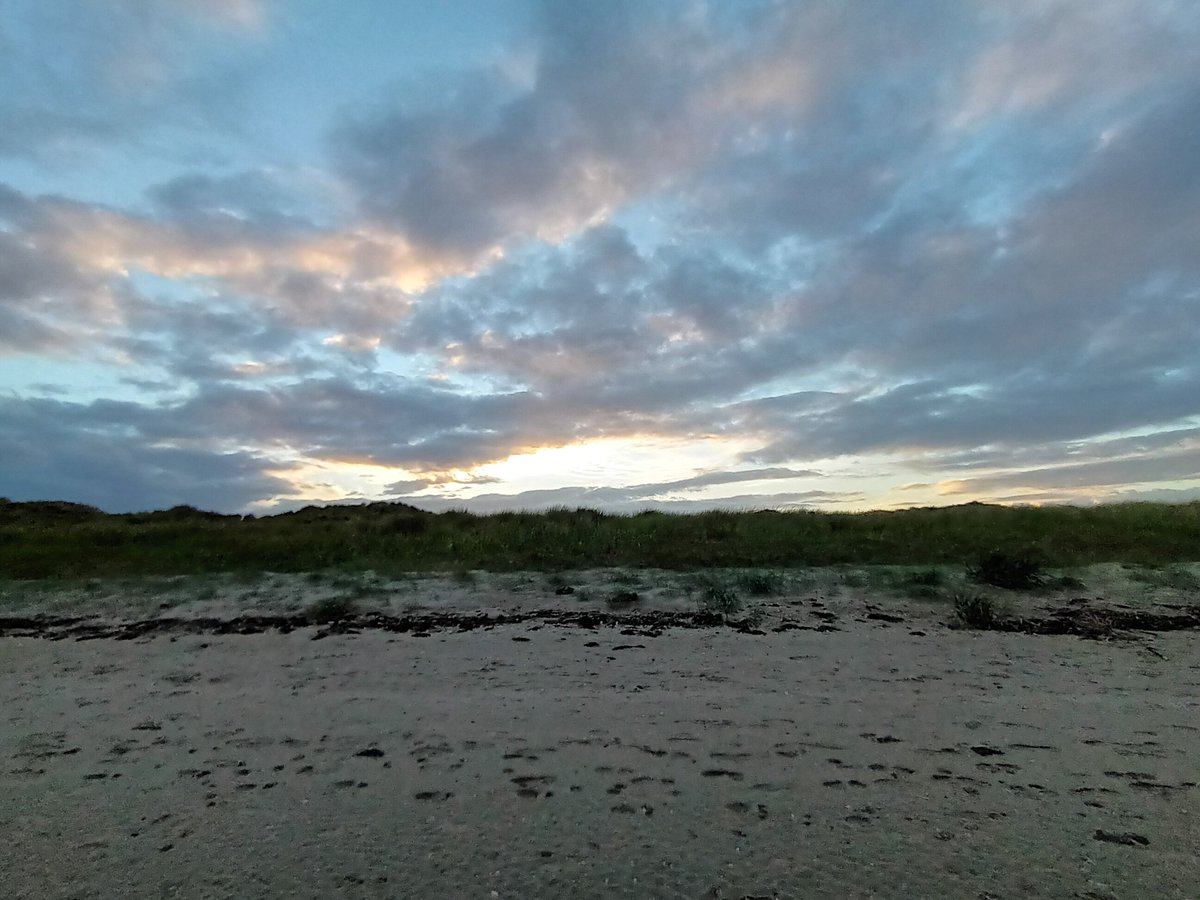 Superdrogidge's tweet photo. #TheSoundOfScience #BeastieBoys #PaulsBoutique ..evening stroll π https://t.co/jFPjyVB58g