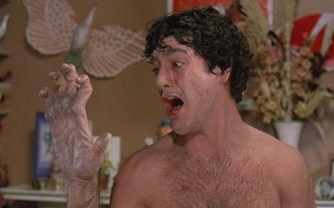 HannibalDamage's tweet photo. Trans mascs after upping the T dose https://t.co/2xaoxbpzIG