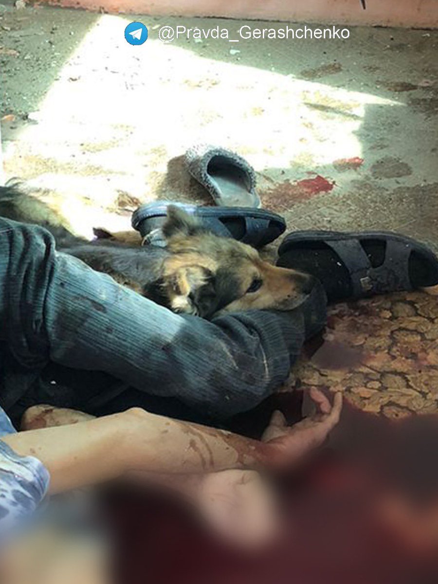 Anton Gerashchenko tweet media