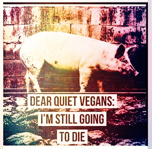 angie_karan's tweet photo. Being #vegan is the least we can do. Being silent in the face of injustice gives the power to the oppressor.  We need to be their voice... in a world which treats such suffering as normal. Get active, speak out.🙏🏻 https://t.co/0GV53DPkJb