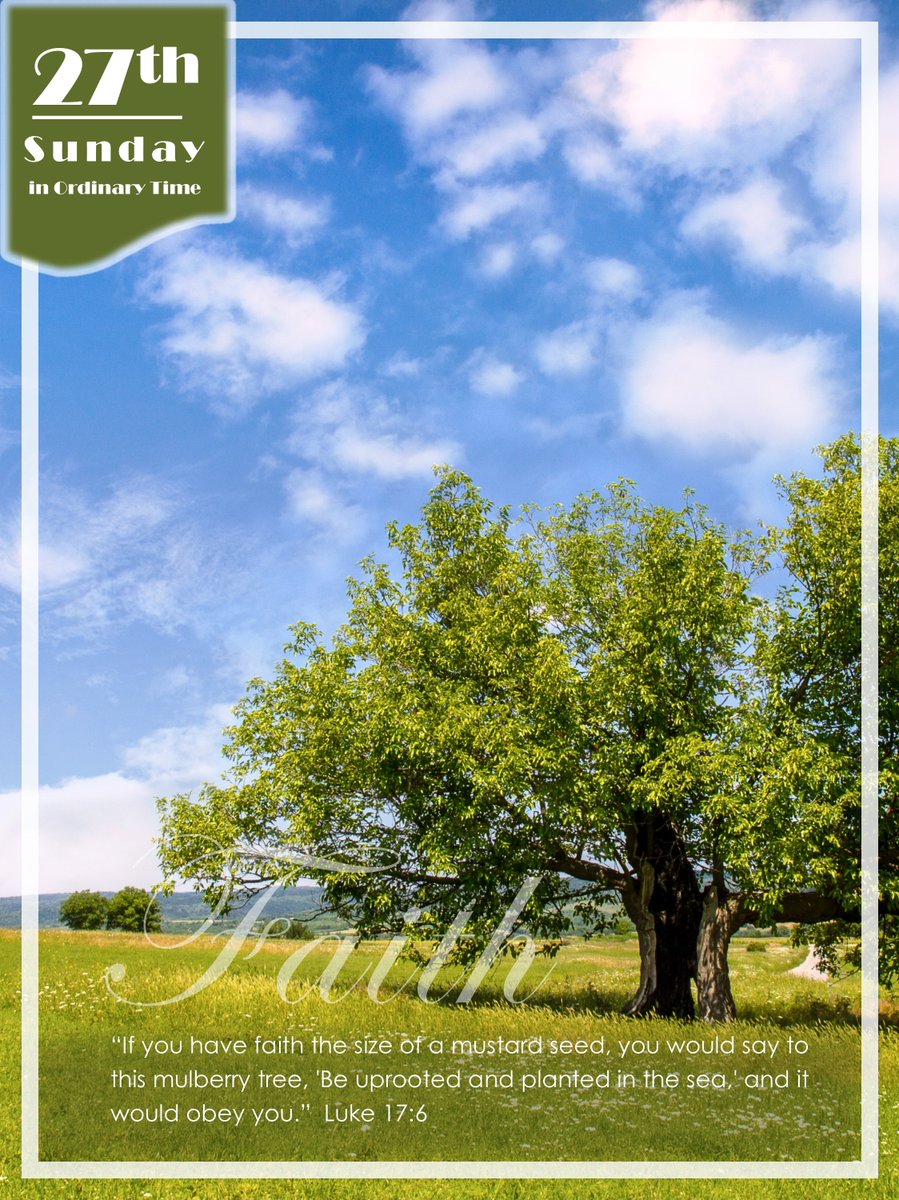 This week's bulletin for the 27th Sunday in Ordinary Time is available on our website: stmary-winchester.org/sites/g/files/… #WeeklyBulletin