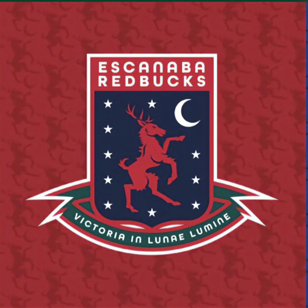 Northern Michigan Faux Football Leagues tweet media