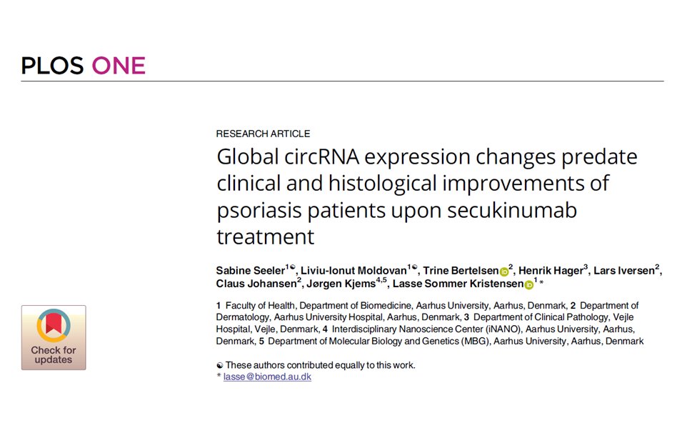 Lasse Sommer Kristensen (@kristensen_lab) on Twitter photo I am delighted to share our latest work spearheaded by <a href="/SabineSeeler/">Sabine Seeler</a> on #circRNA in #psoriasis published in <a href="/PLOSONE/">PLOS One</a> where we uncovered a rapid shift in global circRNA abundance upon anti-IL-17A treatment predating clinical and histological improvements: journals.plos.org/plosone/articl… I am delighted to share our latest work spearheaded by <a href="/SabineSeeler/">Sabine Seeler</a> on #circRNA in #psoriasis published in <a href="/PLOSONE/">PLOS One</a> where we uncovered a rapid shift in global circRNA abundance upon anti-IL-17A treatment predating clinical and histological improvements: journals.plos.org/plosone/articl…