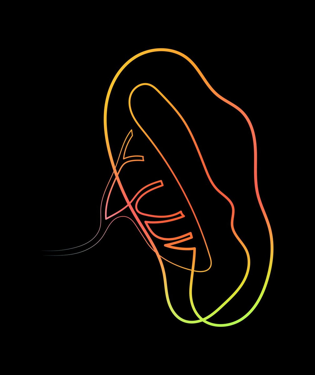 Human Body Anatomy tweet media