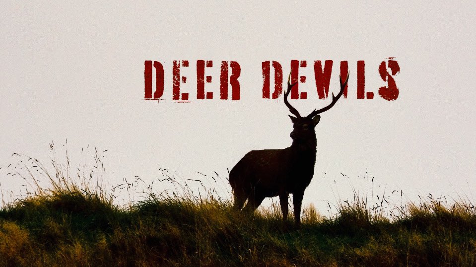 SundayTVNZ's tweet photo. This evening- the fight against feral deer - how did it get so bad ? 

@tamatiRS @docgovtnz @geoffreidnz @1NewsNZ https://t.co/cmpMa9K1TZ