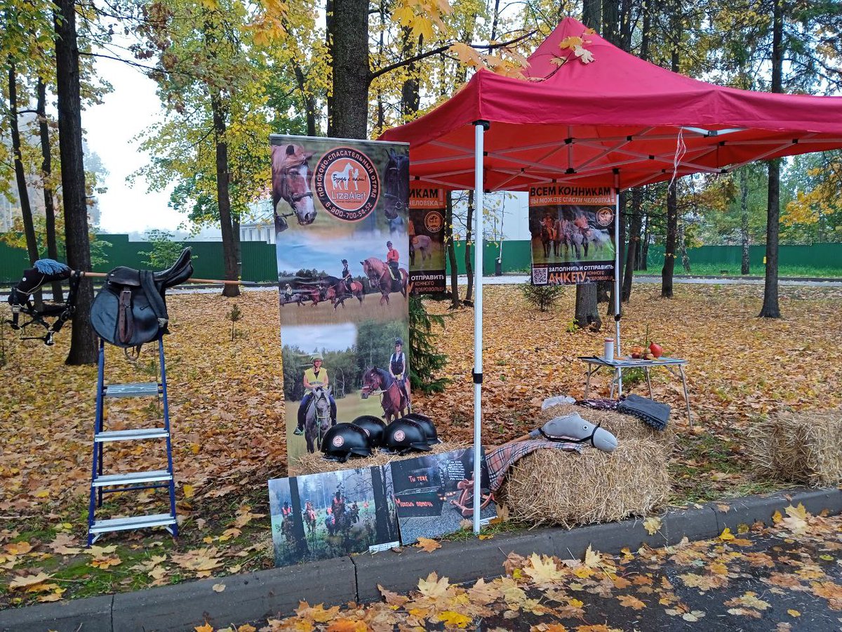А этап конников всё равно самый красивый и атмосферный 😜