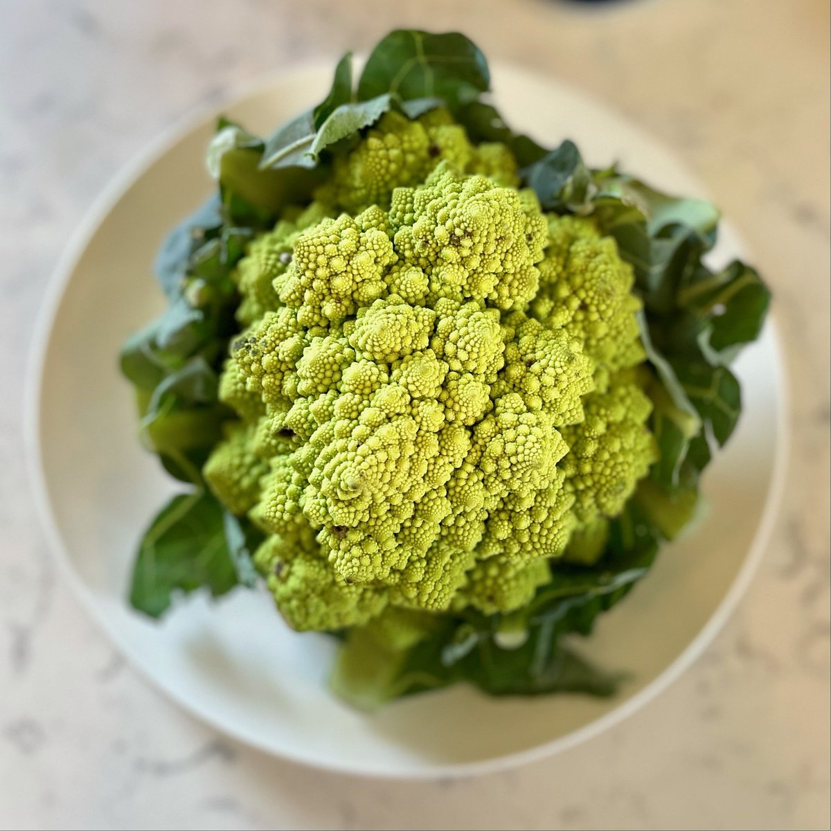 CurlyGirlNFT's tweet photo. Now this is romantic! My hubby goes for a bike ride and brings me goodies from the farmers market! Anyone had this before and if so how did you make it?
#Romanescobroccoli
#broccoli
#farmersmarket
#vegetables
#veganfood https://t.co/v8bFB0vJhU