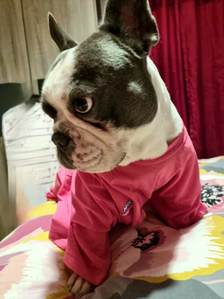 HoworthHoworth's tweet image. I promise you he's alot more supportive of spreading awareness for #OrganDonation then he's portraying 🤣🥰 @Yorkshire_OTDT @MidOrgan @MidYorkshireNHS @BuglassHelen @DosMyht @razdy @MyhtTheatres he's helped secure plenty more steps for #Race4Recipients today 👏