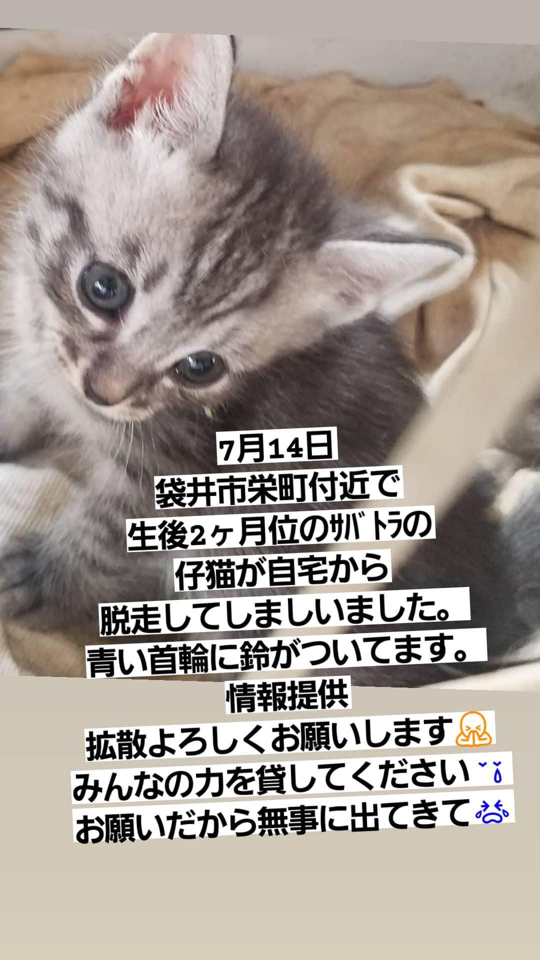 りつ Tokok1234 Twitter