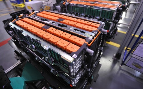 JULIEN PALUKU tweet media