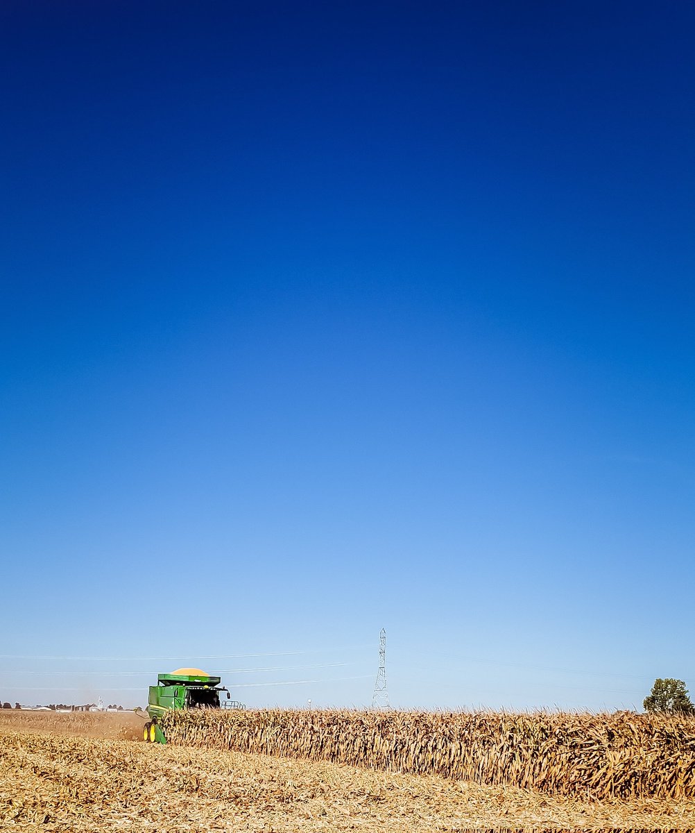 ACRE_Purdue's tweet photo. Out of the clear blue sky....
Happy Harvest, Happy Saturday and Happy Game Day! #boilerup
#agronomy #Indianafarmer #researchfarm #agronomyforfarmers #PurdueAgriculture #ACREfarm #farming #purdueagronomy #harvest22 #harvest2022 https://t.co/nPIPubOhi1