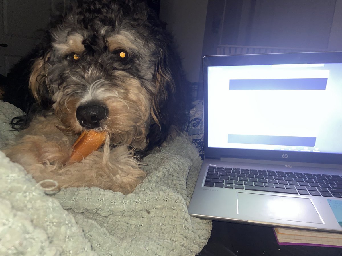 MsBoltTweets's tweet photo. Thor and I are enjoying learning about incorporating computer science in my class room with @codeVirginia https://t.co/aY3bW1zAHd