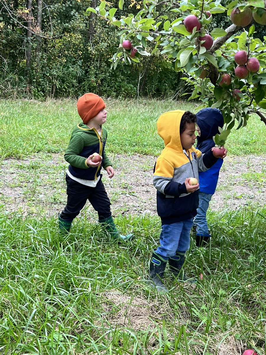 SCSVTPREK's tweet photo. The preschool had a fun field trip to Shelburne Orchards. The apples were crisp, the cider and donuts were sweet, and the playground was a blast! #cvsdvt #scslearns https://t.co/PX5Q79tEzx