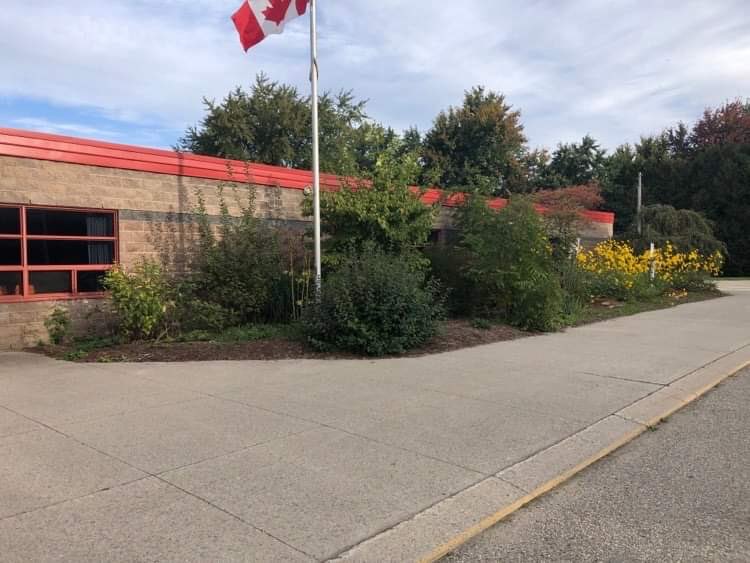 AlmaPublic's tweet photo. Thanks to the amazing crew of parents who cleaned up our front gardens. The before and after is incredible. What a wonderful @ugdsb @AlmaPublic school community we have! https://t.co/yGG3xgn5XE
