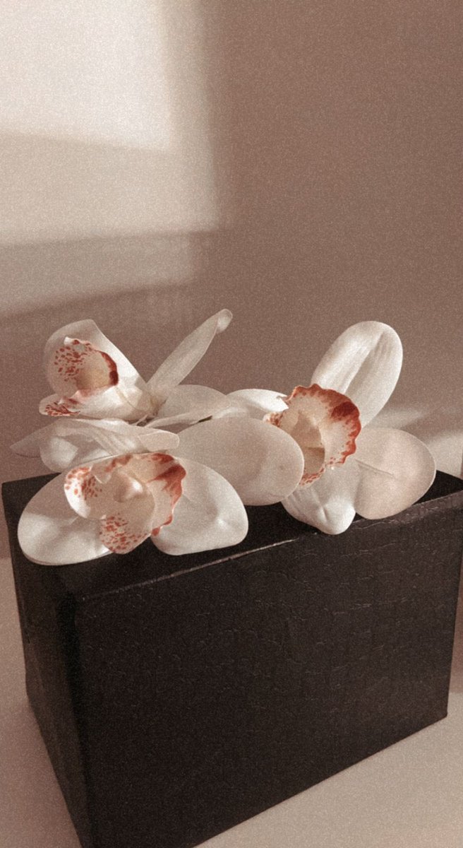 الله يخليلنا الناس الحلوه 🫶🏻.