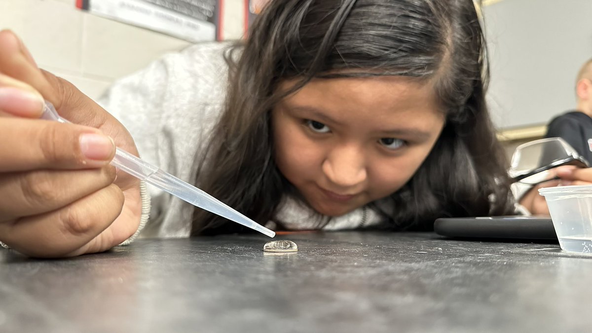 mrcdccc's tweet photo. This is what a young scientist looks like: https://t.co/a1BKTQCw2y