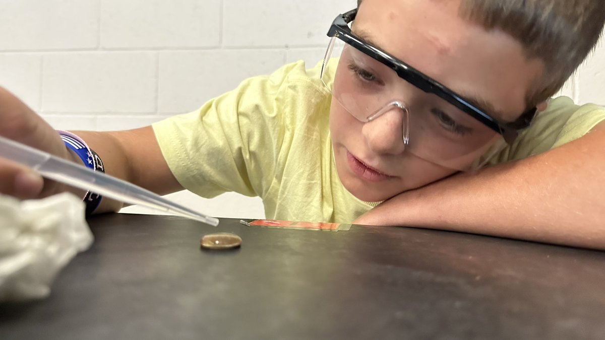 mrcdccc's tweet photo. This is what a young scientist looks like: https://t.co/a1BKTQCw2y
