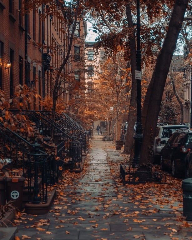 —autumn in new york