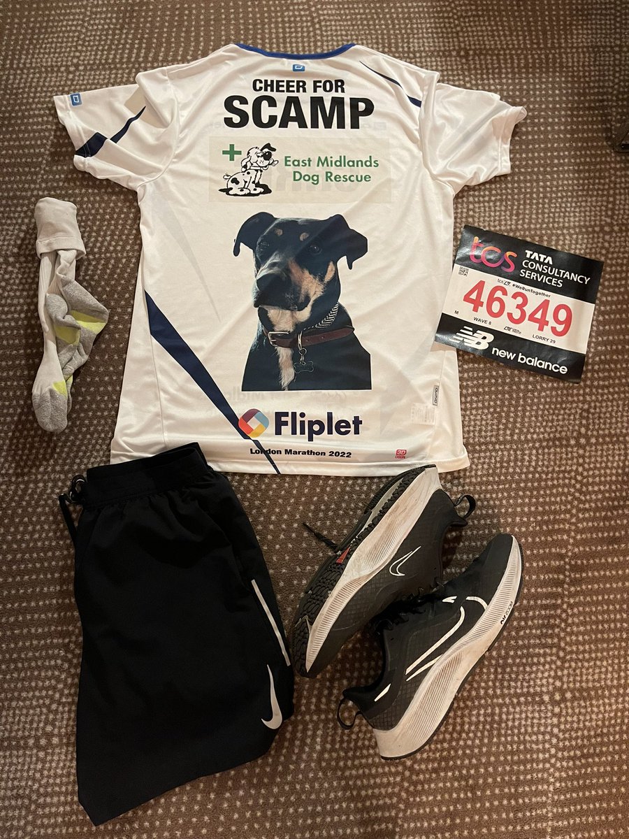 Ripperrooblue's tweet photo. @LondonMarathon not had the best preparation for it with long term injury and now an Achilles strain but determined to get through it so the kit is ready and just hit my target for East Midlands Dog Rescue (and it’s my big man from the rescue on the shirt)
#LondonMarathon https://t.co/4J3MPMpYgx