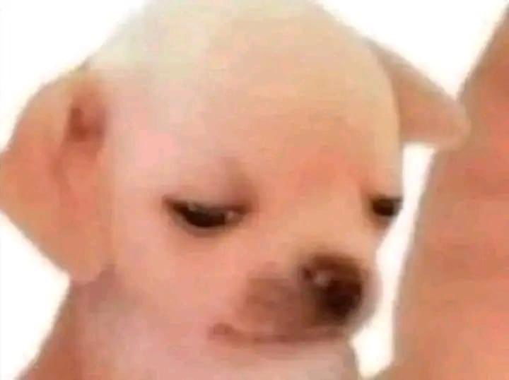 ih8rts's tweet image. *my mom telling the doctor how i feel*

me: