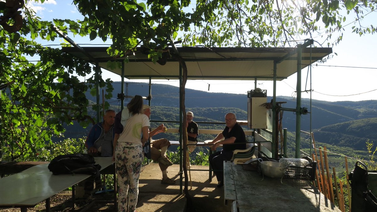 fedezad's tweet photo. #Istria https://t.co/eG120nOTp4