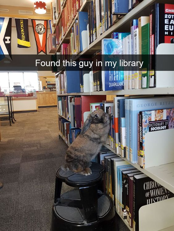 WholesomeMeme's tweet photo. https://t.co/8RPj7n1Jwu