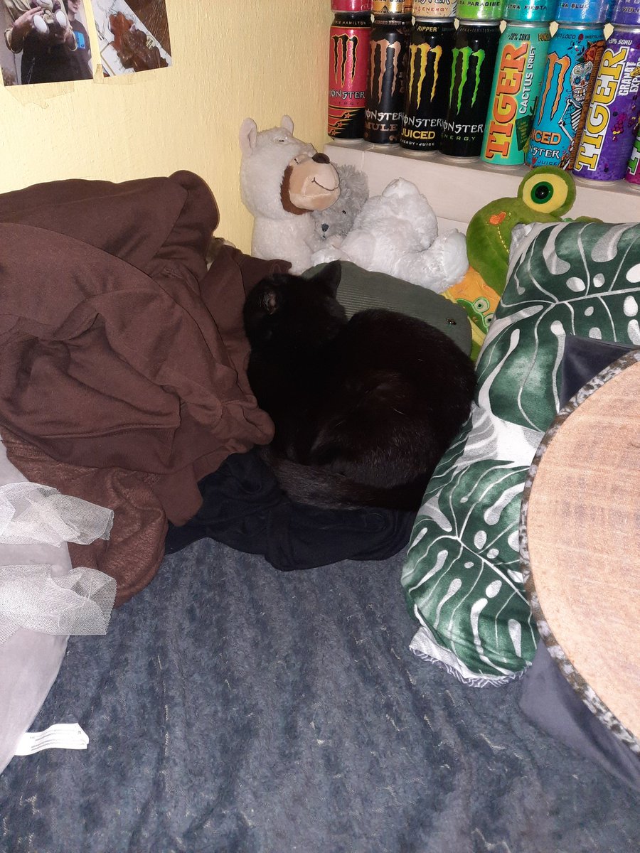 why she sleeping like this???? is she gonna be ok should i ?? do something???