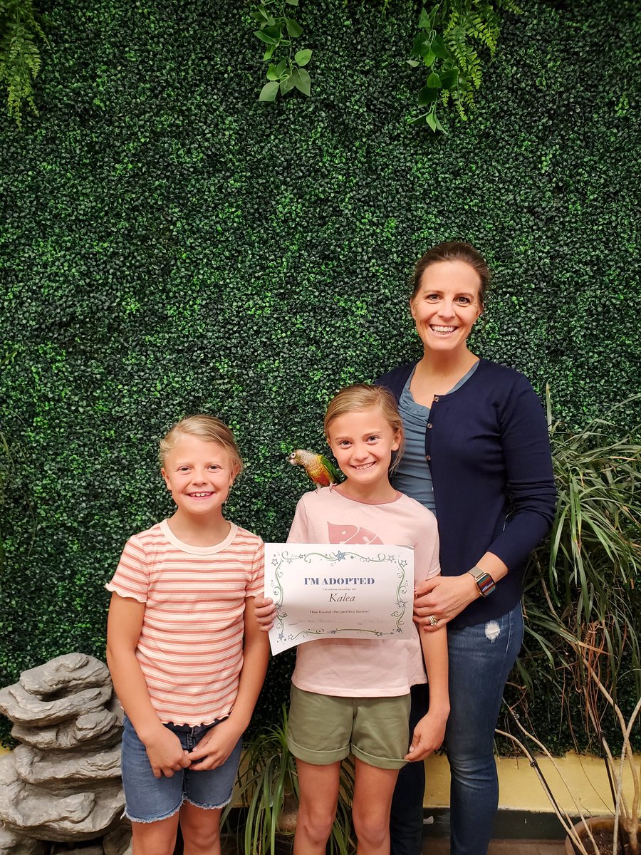 Ronies for The Love Of Birds tweet media