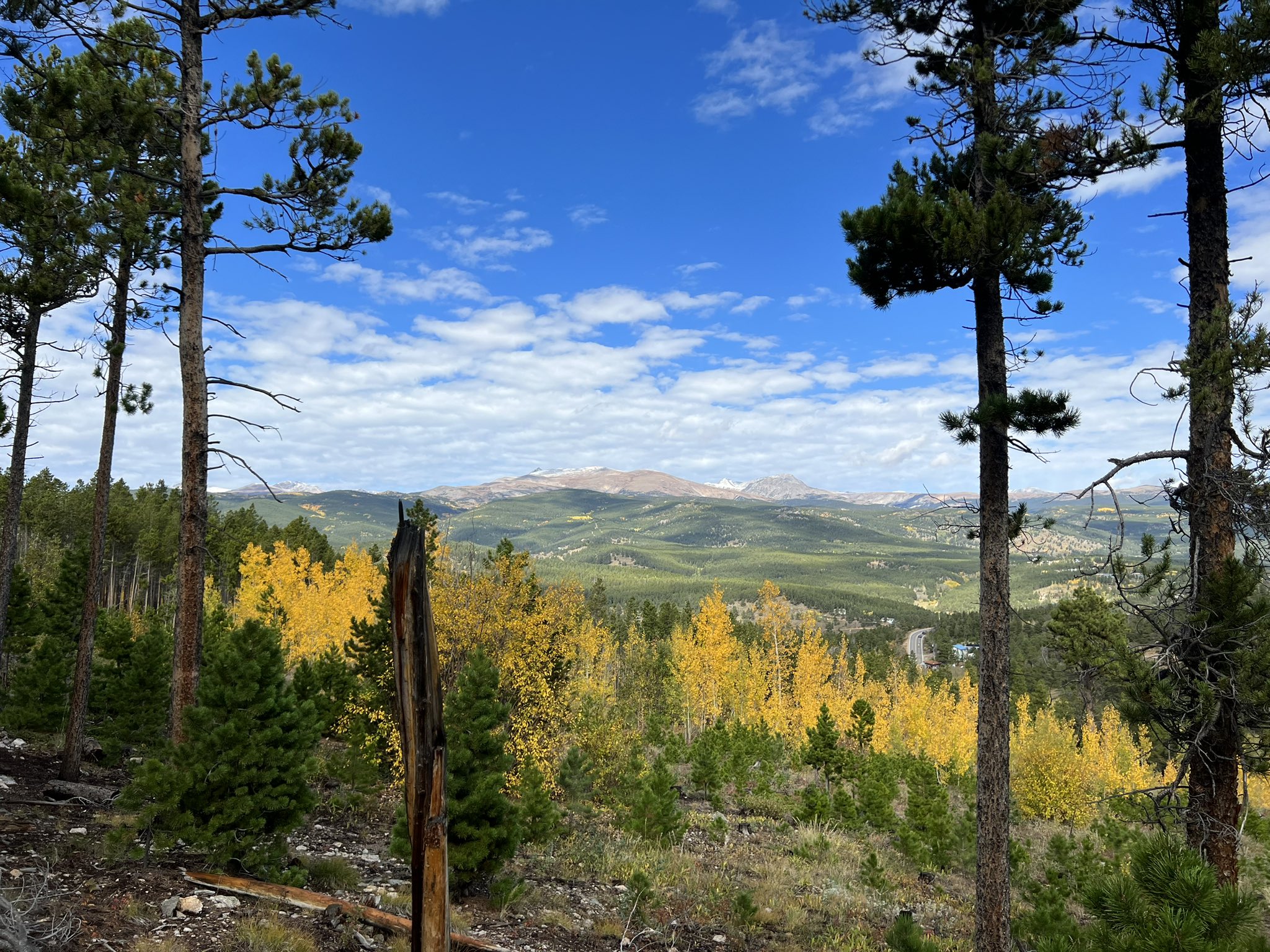 brian wickman on Twitter "pretty wild to me that it only takes 30 mins