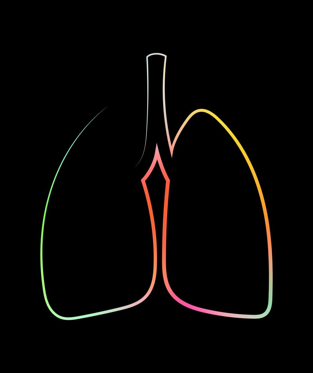 Human Body Anatomy tweet media