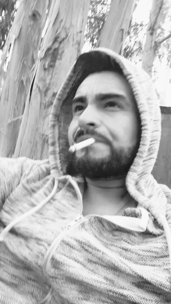 csaavedra60's tweet photo. @markalel74 https://t.co/qZdXDYHSch