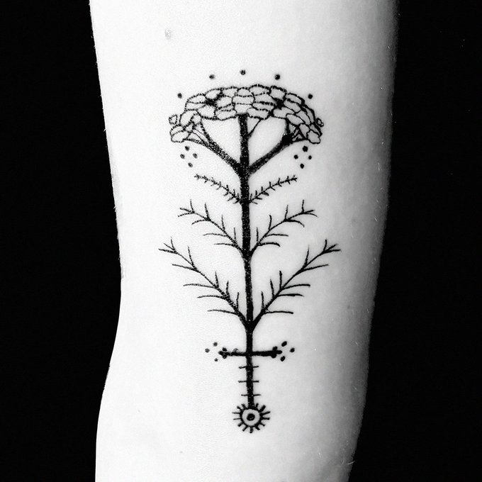A folk inspired common yarrow tattoo I've done on my flatmate some time ago and a scrungly I've done on @MeaneyBeaney today 👀🫦👀 