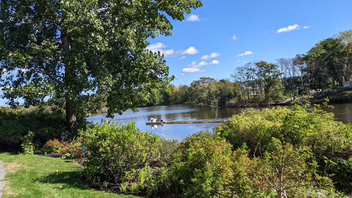 MysticRiverWatershed tweet media