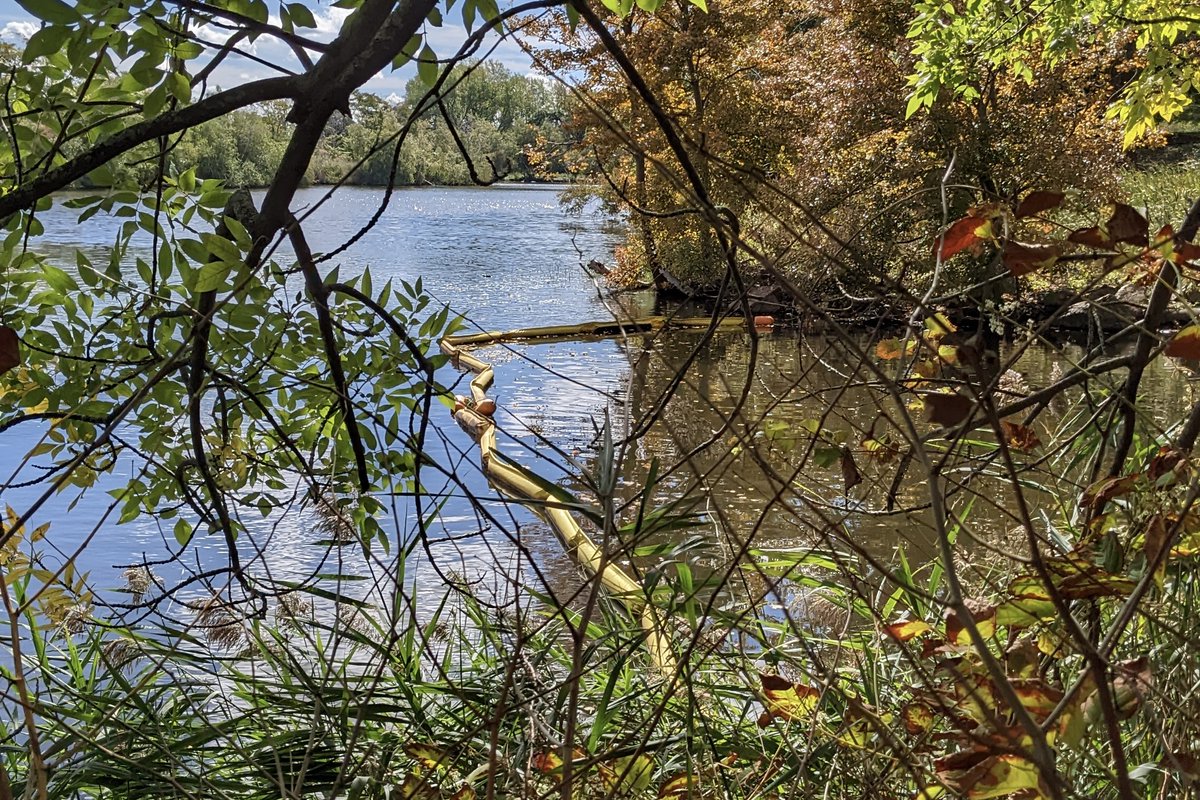 MysticRiverWatershed tweet media