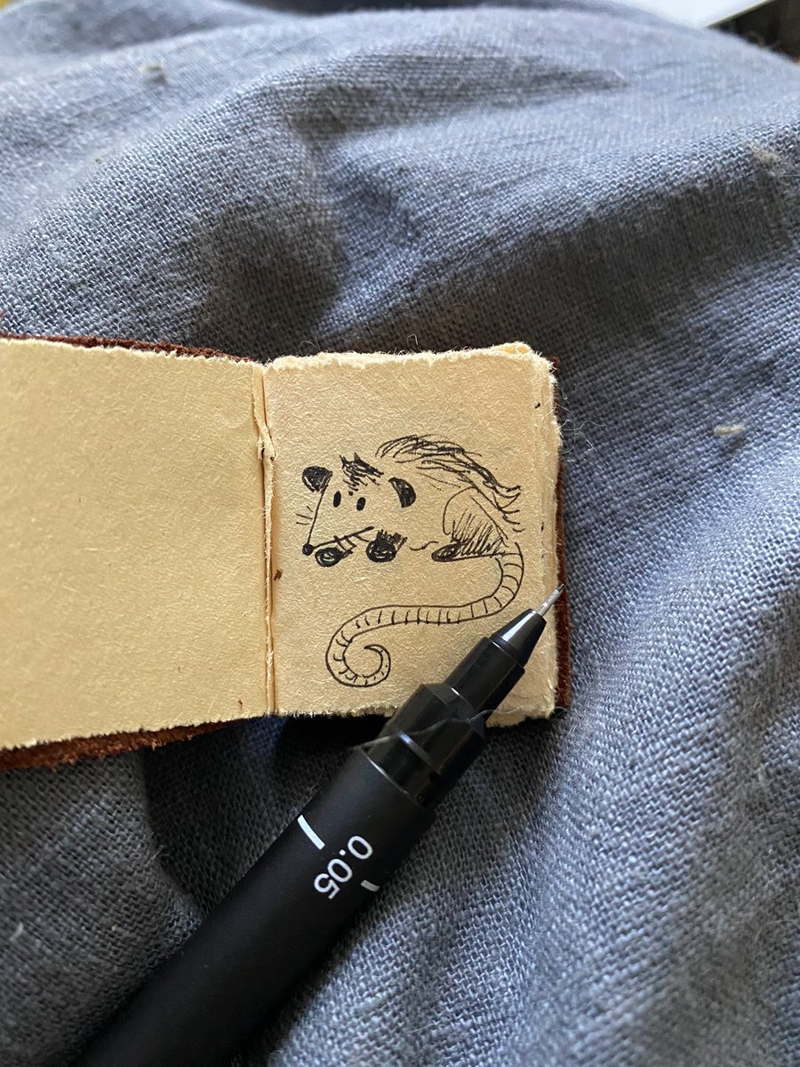 ghostandpals_'s tweet photo. a sketchbook i ordered came with a free tiny sketchbook which i'm filling with possums https://t.co/qNZwnWvskO